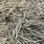 Blue Mountain Hay Blue Mountain Hay High-Altitude Orchard Grass Hay