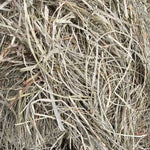 Blue Mountain Hay Blue Mountain Hay High-Altitude Orchard Grass Hay
