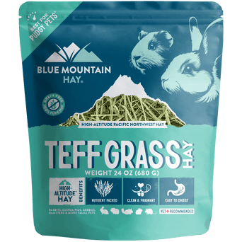 Blue Mountain Hay Blue Mountain Hay High-Altitude Teff Grass Hay, 15oz