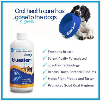 Bluestem Bluestem Oral Care Chicken Flavor Water Additive for Cats & Dogs