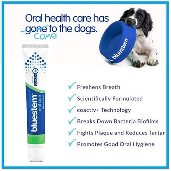 Bluestem Bluestem Oral Care Vanilla Mint Flavor Toothpaste & Brush Kit for Dogs