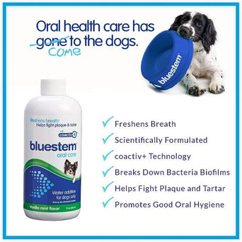 Bluestem Bluestem Oral Care Vanilla Mint Flavor Water Additive for Dogs