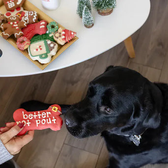 Bosco and Roxy's Bosco and Roxy's Christmas | Elfie Treat