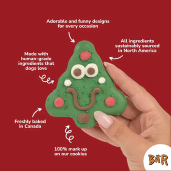 Bosco and Roxy's Bosco and Roxy's Christmas | Friendly Fir