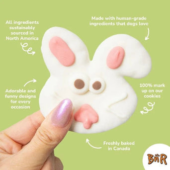 Bosco and Roxy's Bosco and Roxy's Easter | Carrot Patch Paws