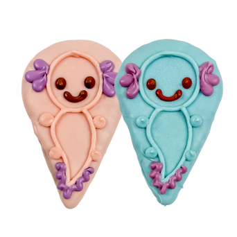 Bosco and Roxy's Bosco and Roxy's Smile into Spring | Sir-Smiles-a-Lotl