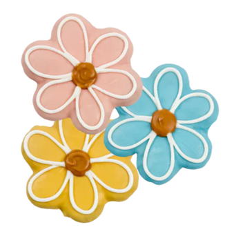 Bosco and Roxy's Bosco and Roxy's Smile into Spring | Sprout & Shout!