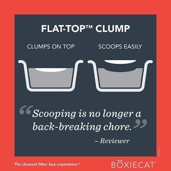 BoxieCat Boxiecat Extra Strength Scent-Free Premium Clumping Clay Cat Litter