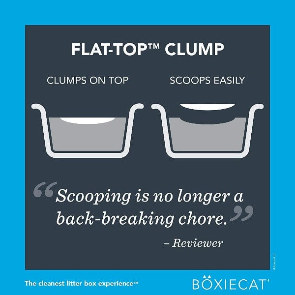 BoxieCat Boxiecat Scent-Free Premium Clumping Clay Cat Litter