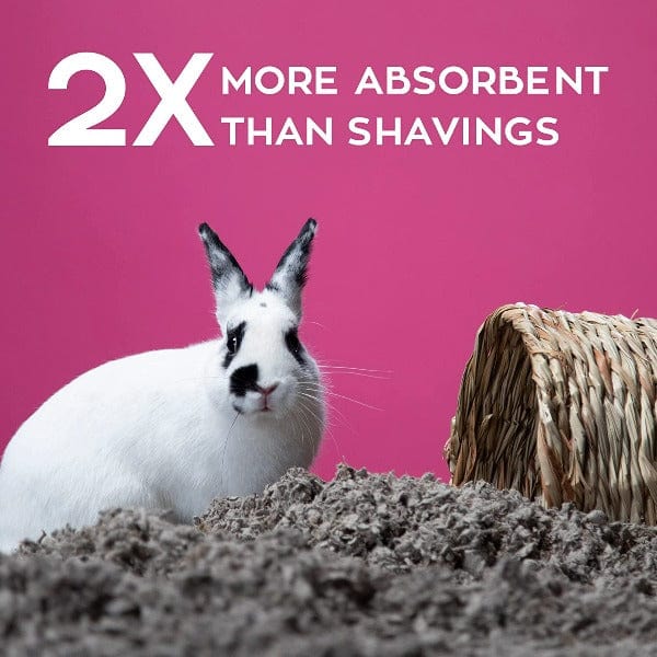 Carefresh CareFresh Natural Small Pet Bedding