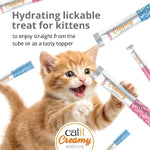 Catit Catit Creamy Booster Lickable Chicken Recipe Cat Treat