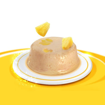 Catit Catit Creamy Cups - Chicken Mousse with Pineapple Cat Treat