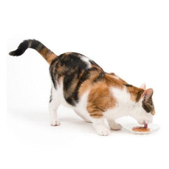 Catit Catit Creamy Lickable Assorted Multipack Cat Treat