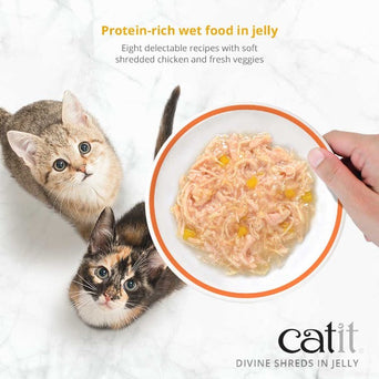 Catit Catit Divine Shreds in Jelly Multipacks; Available Chicken or Tuna