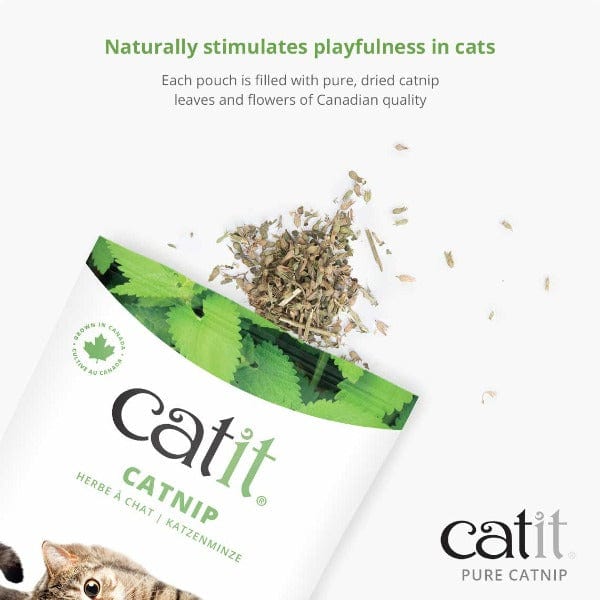 Catit Catit Pure Catnip