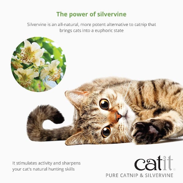 Catit Catit Pure Catnip & Silvervine Mix