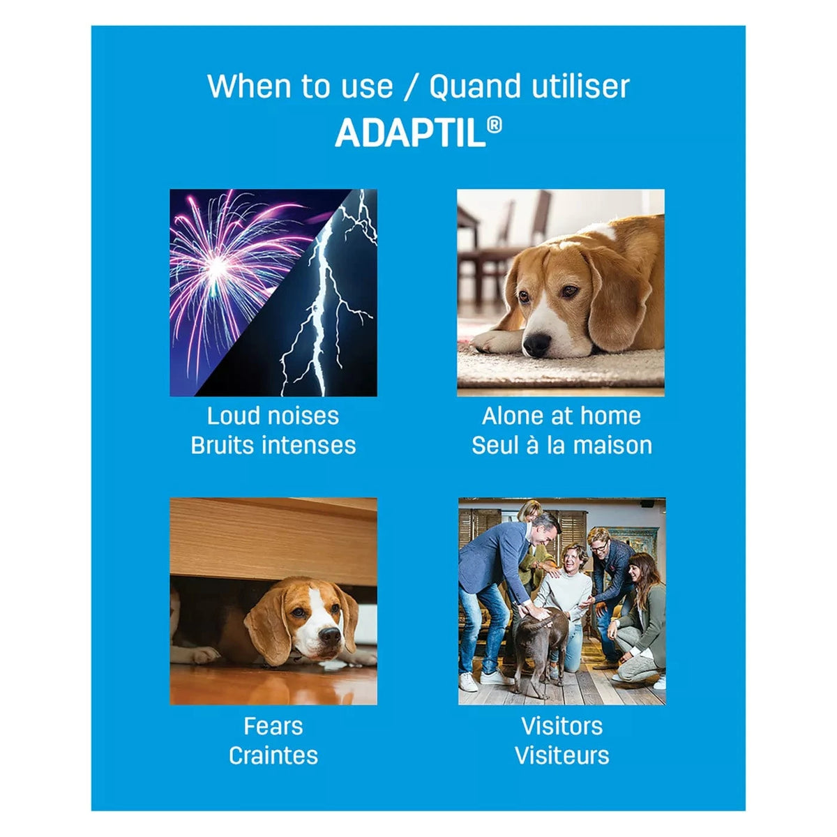 Ceva ADAPTIL Calm Home Diffuser Kit