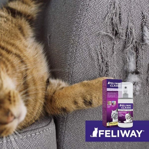 FELIWAY® Classic Spray  Calming Pheromone Spray for Cats – FELIWAY Shop