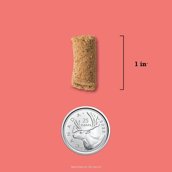 Champion Petfoods ACANA Beef Recipe Freeze Dried Dog Food, Morsels