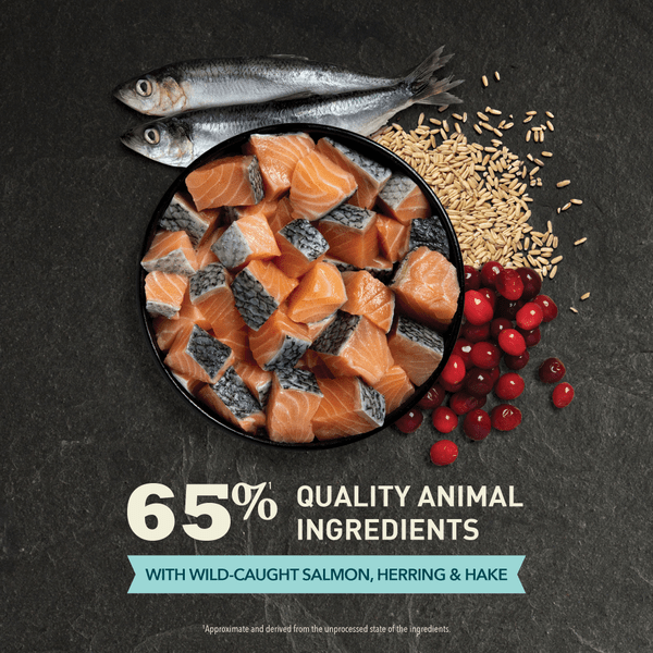 Champion Petfoods Acana Bountiful Catch Dry Cat Food