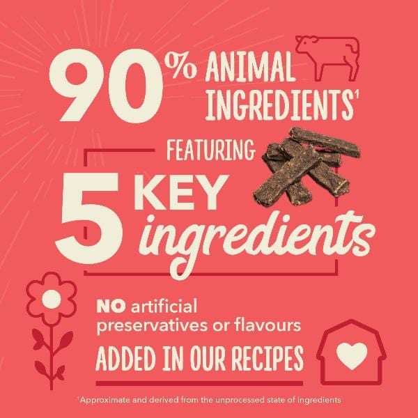 Champion Petfoods ACANA Chewy Strips, Beef Recipe