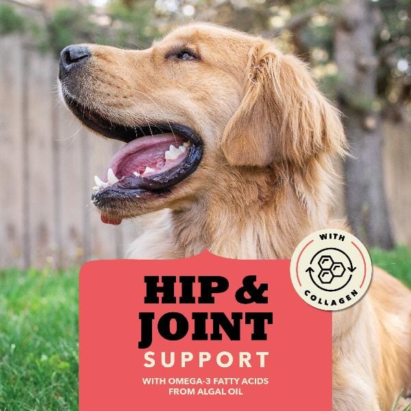 Champion Petfoods ACANA Chewy Strips, Beef Recipe