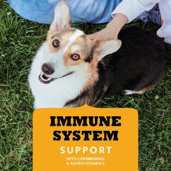 Champion Petfoods ACANA Chewy Strips, Chicken Recipe