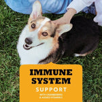 Champion Petfoods ACANA Chewy Strips, Chicken Recipe