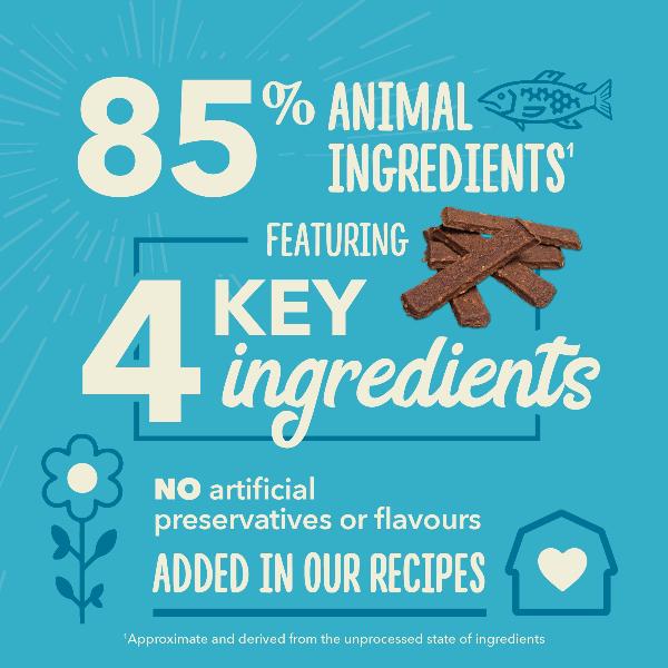Champion Petfoods ACANA Chewy Strips, Salmon Recipe