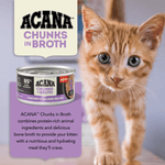 Champion Petfoods ACANA Chunks in Broth Chicken & Salmon Kitten Recipe Canned Cat Food, 5.5oz