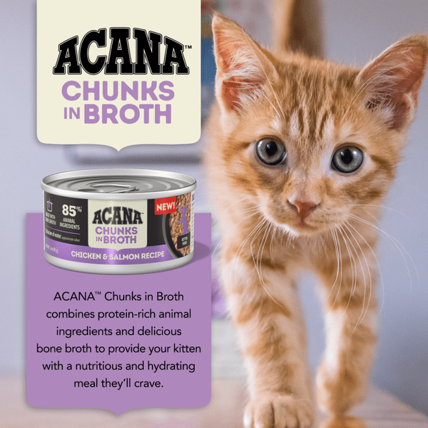 Champion Petfoods ACANA Chunks in Broth Chicken & Salmon Kitten Recipe Canned Cat Food, 5.5oz