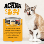 Champion Petfoods ACANA Chunks in Broth Chicken & Tuna Recipe Canned Cat Food, 5.5oz