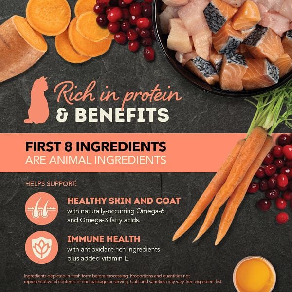 Champion Petfoods ACANA Chunks in Broth Salmon & Chicken Recipe Canned Cat Food, 5.5oz