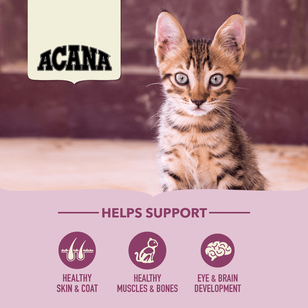 Champion Petfoods Acana First Feast Dry Kitten Food, 1.8 kg