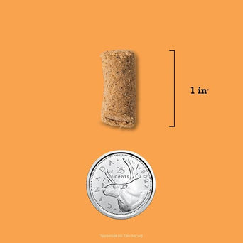 Champion Petfoods ACANA Free-Run Turkey Recipe Freeze Dried Dog Food, Morsels