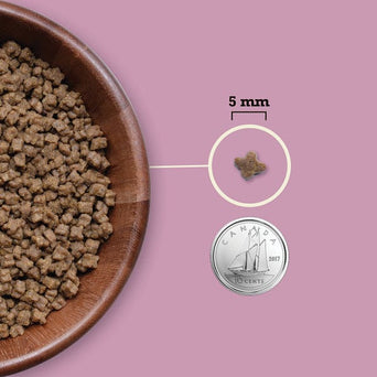 Champion Petfoods Acana Highest Protein Recipe Dry Kitten Food, 1.8 kg PLecomm19