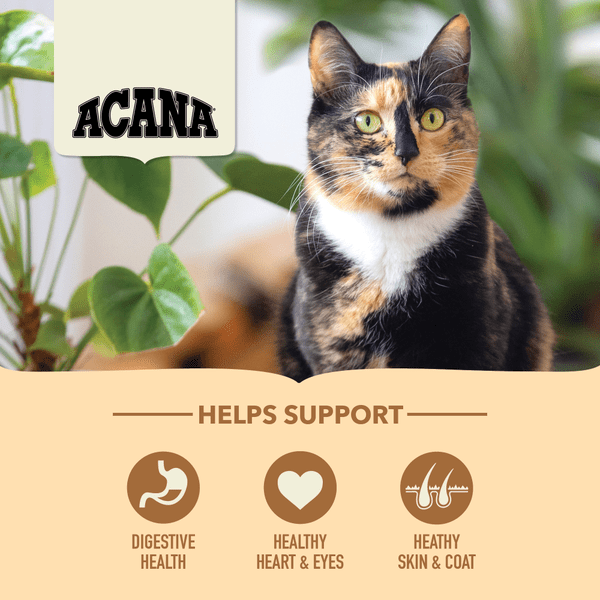 Acana vs orijen cat food online