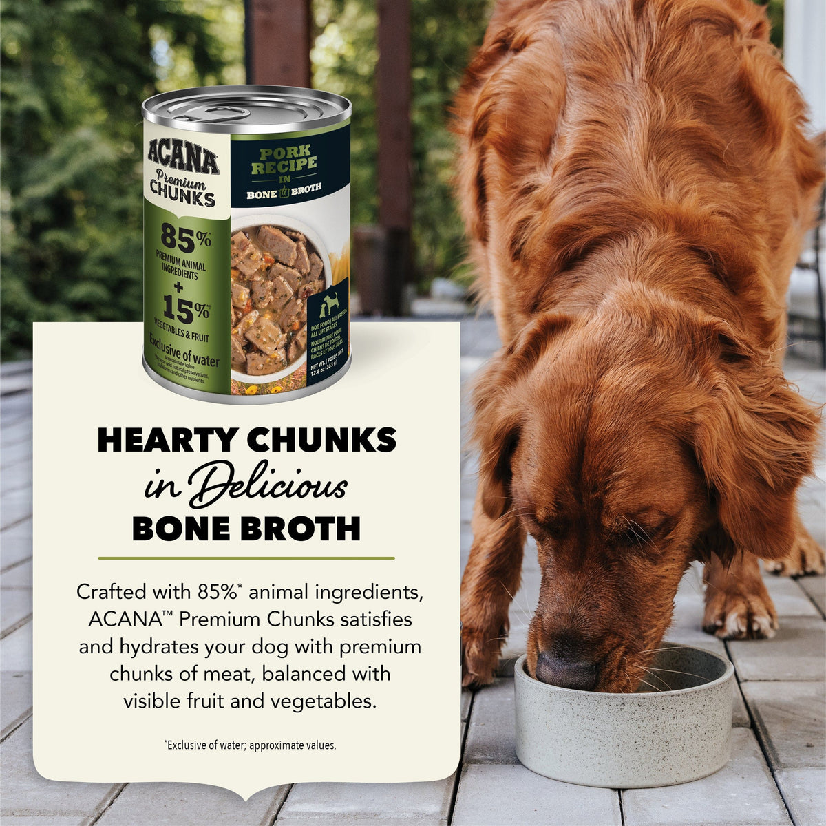 Champion Petfoods Acana Pork Recipe in Bone Broth Canned Dog Food