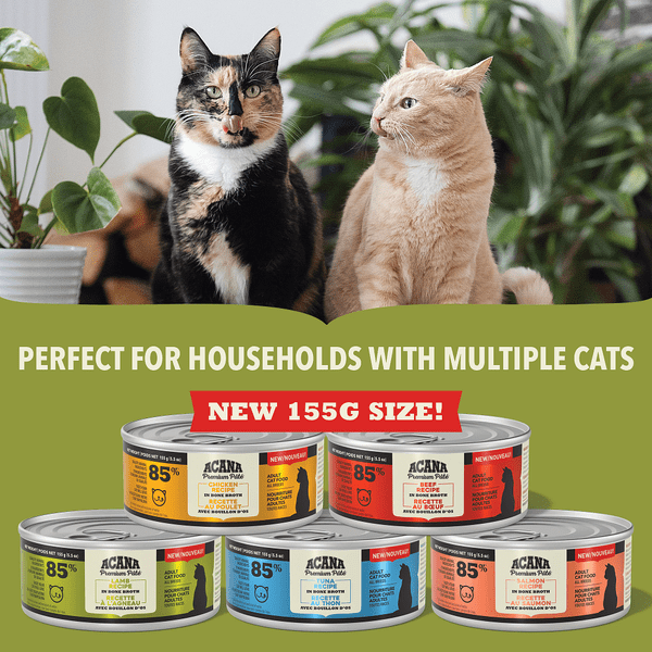 ACANA Premium Pate Lamb Recipe Canned Cat Food Petland Canada