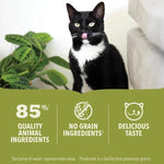Champion Petfoods Acana Premium Pate Salmon Recipe Canned Cat Food