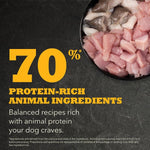 Champion Petfoods Acana Puppy Recipe Dry Dog Food