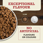 Champion Petfoods ACANA Red Meat Recipe Dry Dog Food
