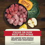 Champion Petfoods ACANA Red Meat Recipe Dry Dog Food