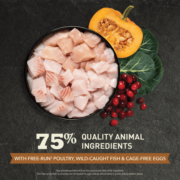 Champion Petfoods Acana Wild Prairie Dry Cat Food