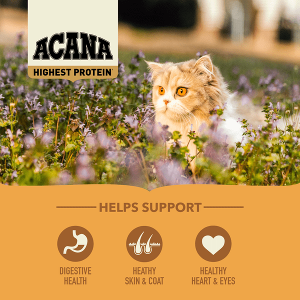 ACANA Wild Prairie キャットフード4.5kg Amazon.co.jp: ACANA ACANA Wild Prairie キャットフード4.5kg Amazon.co.jp: ACANA