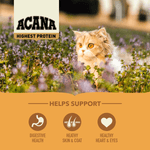 Champion Petfoods Acana Wild Prairie Dry Cat Food