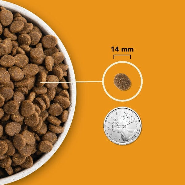 Champion Petfoods Acana Wild Prairie Recipe Dry Dog Food