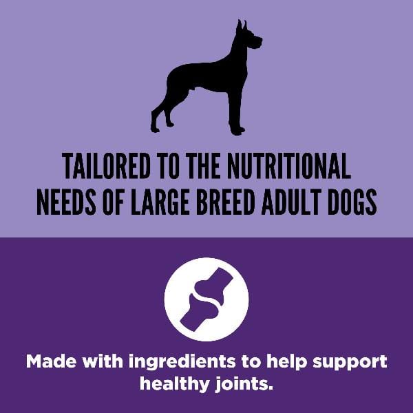 Champion Petfoods Orijen Adult Large Breed Dry Dog Food