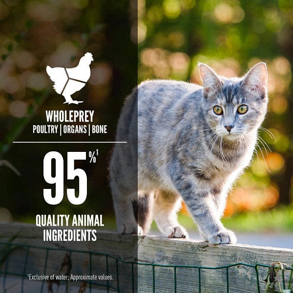 Champion Petfoods Orijen Duck & Chicken Entrée Canned Cat Food