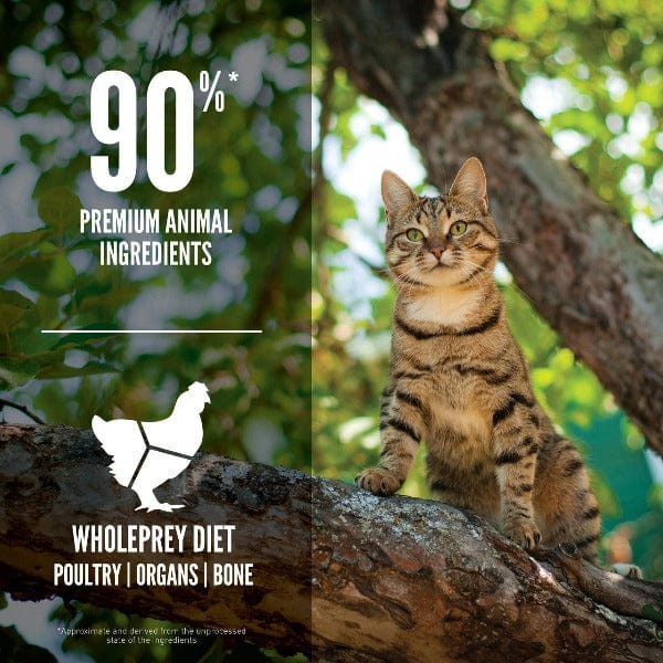 Champion Petfoods Orijen Guardian 8 Cat Dry Food